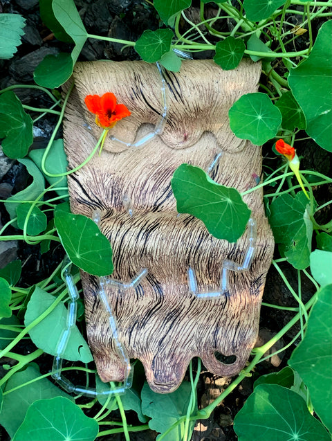 Spotlight Series: Anna Showers-Cruser