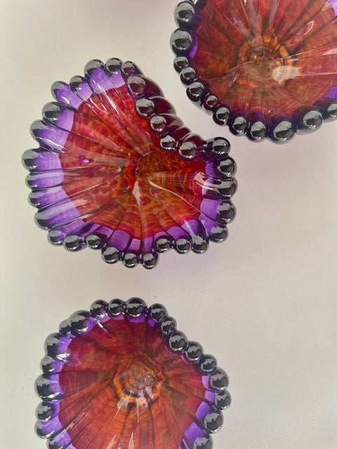 Two Tone Coral Polyps