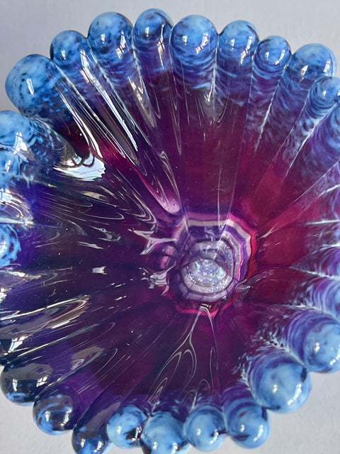 Two Tone Coral Polyps