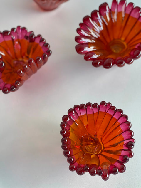 Two Tone Coral Polyps