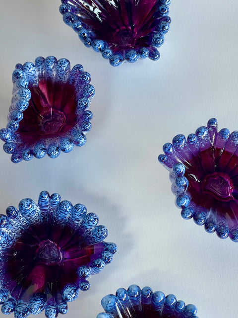 Two Tone Coral Polyps