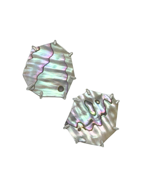 Sarah Holden Green Abalone Posts