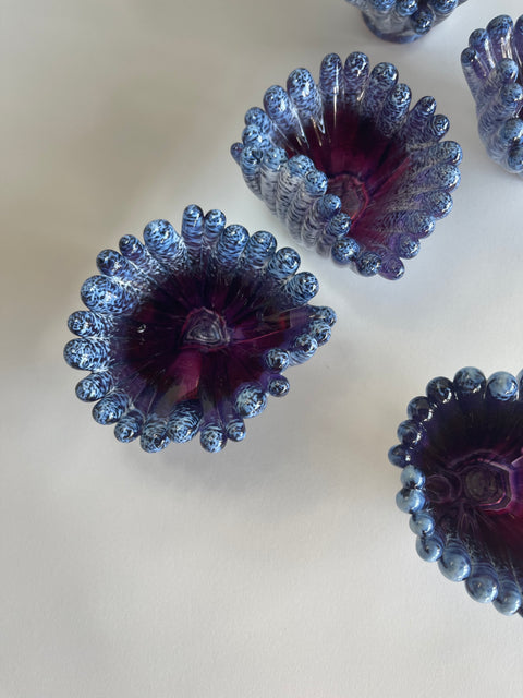 Two Tone Coral Polyps