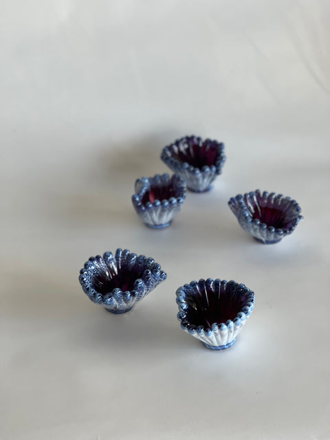 Two Tone Coral Polyps