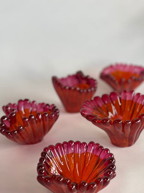 Two Tone Coral Polyps