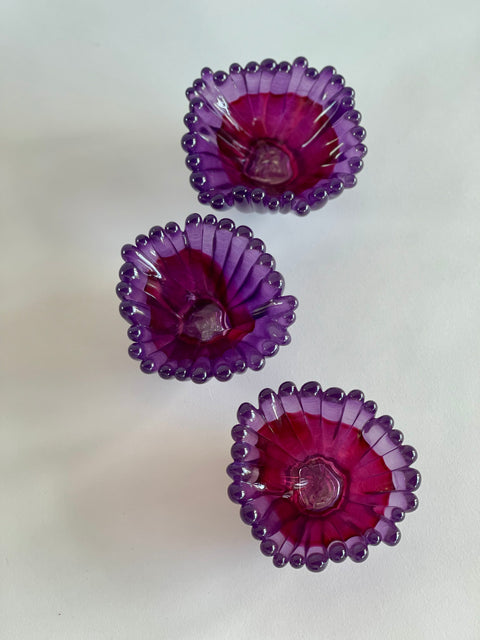 Two Tone Coral Polyps