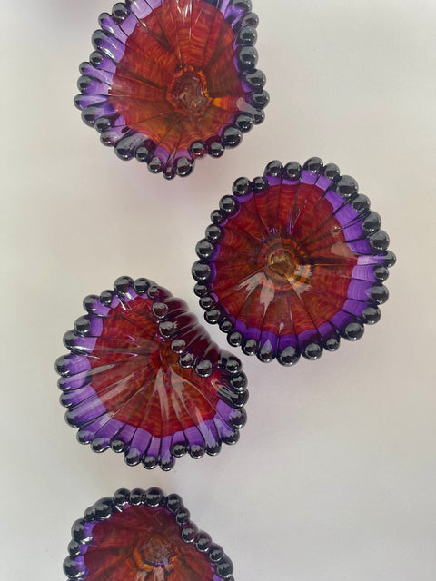 Two Tone Coral Polyps