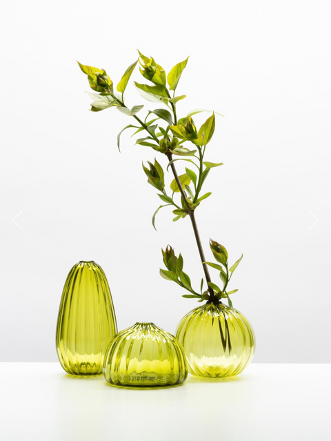 Tall Buddy Vase