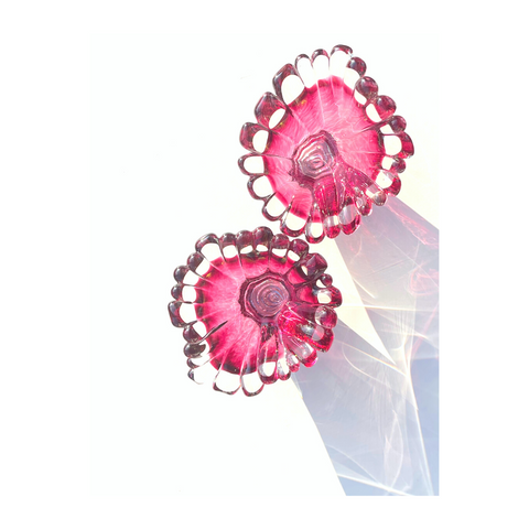 Single Color Coral Polyps