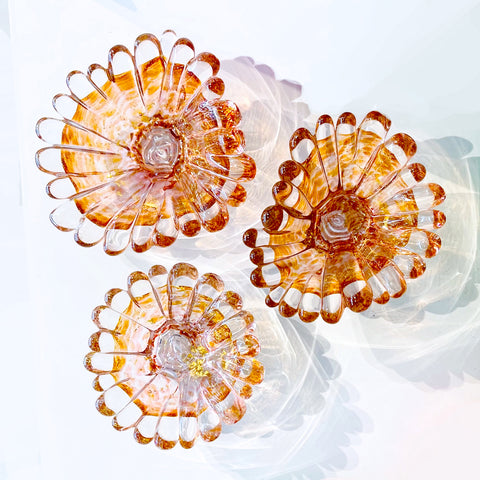 Single Color Coral Polyps