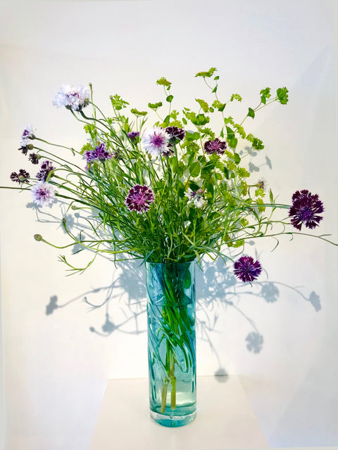 Agua Vases