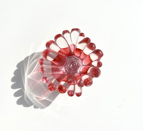 Single Color Coral Polyps