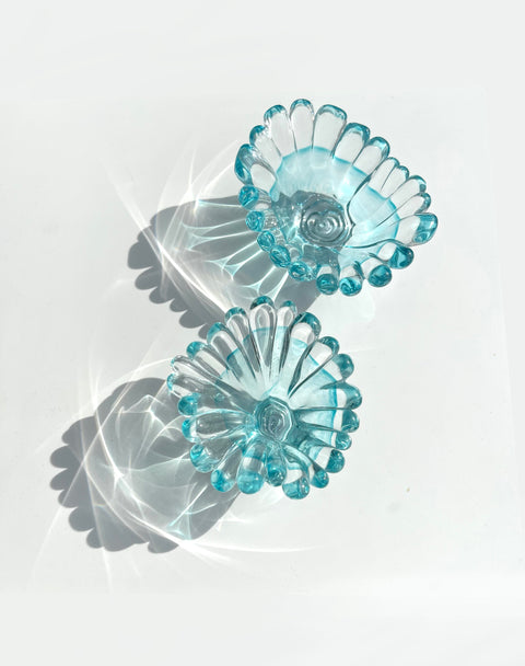 Single Color Coral Polyps
