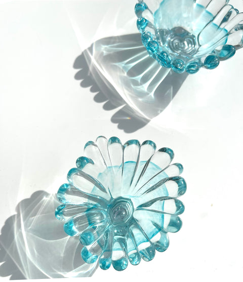 Single Color Coral Polyps