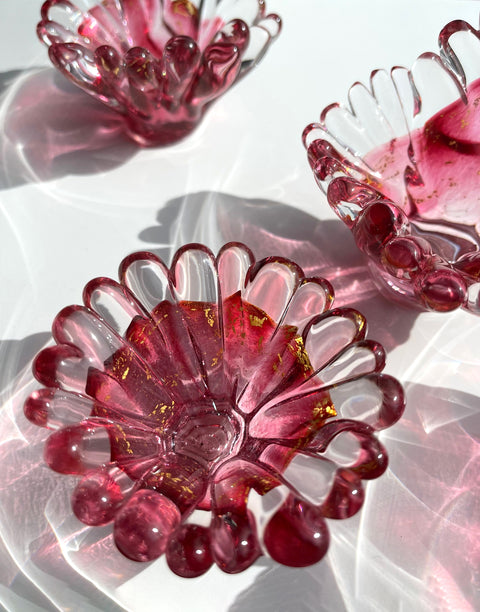 Single Color Coral Polyps