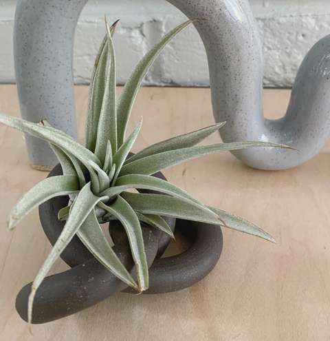 Ceramic Knot