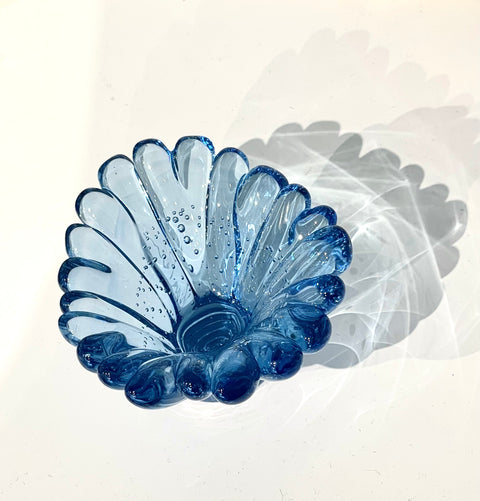 Single Color Coral Polyps
