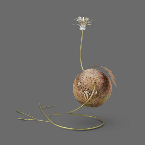 Sarah Tector : overgrown