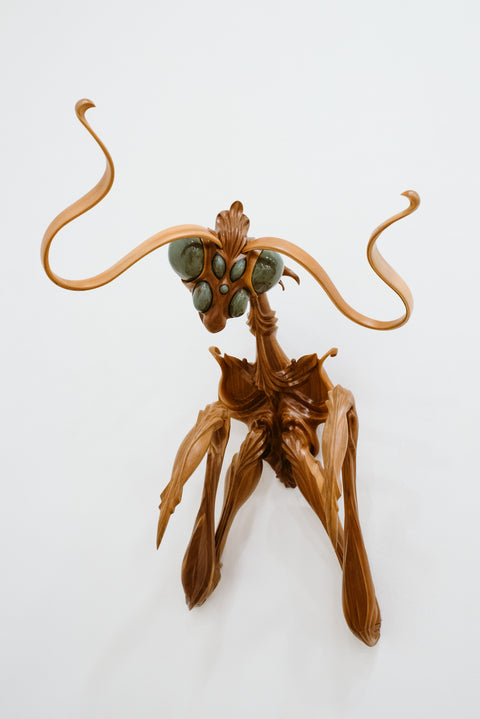 Nicholas Soroka, BFA 2021